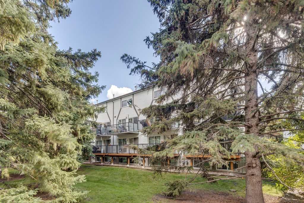 2, 308 Cedar Crescent SW