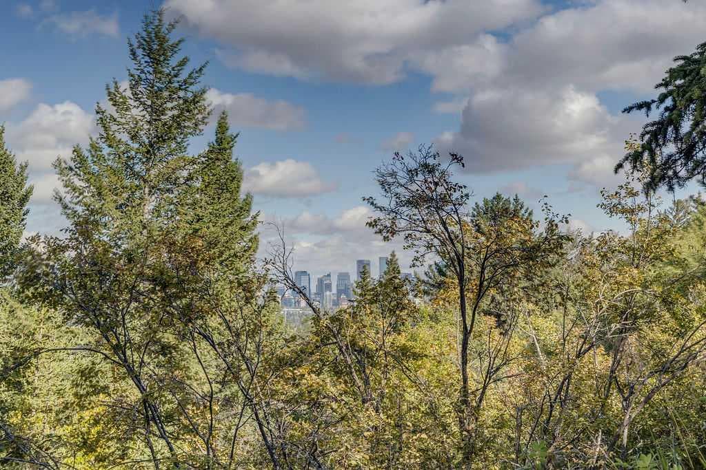 2, 308 Cedar Crescent SW