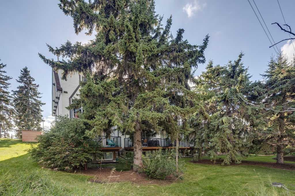 2, 308 Cedar Crescent SW