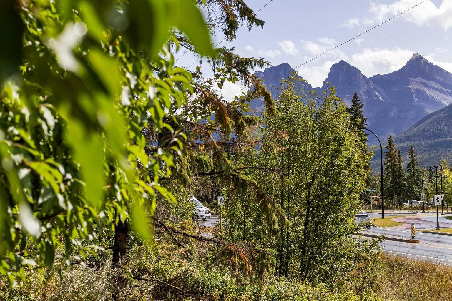 106, 109 Kananaskis Way 