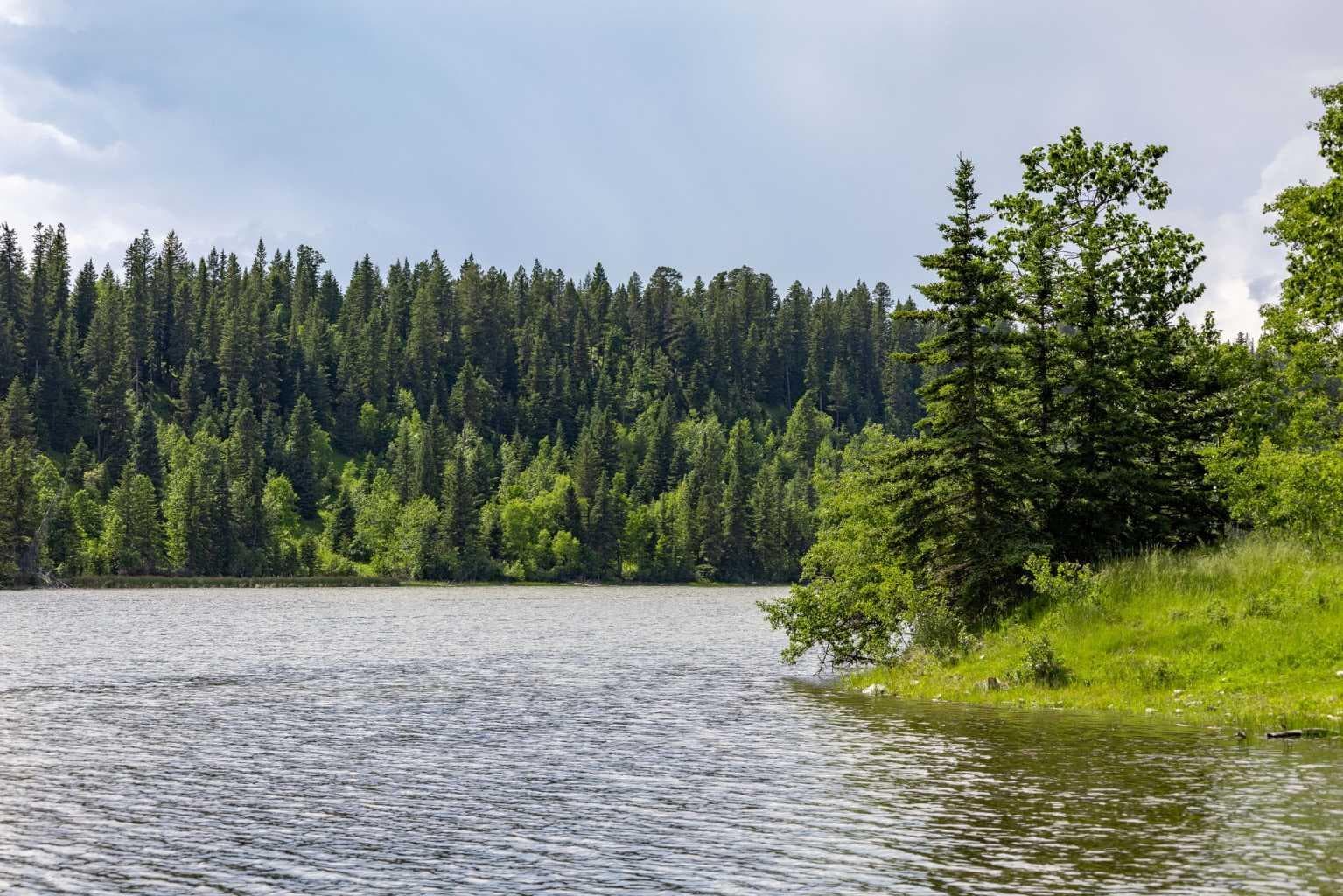 Scott Lake Ranch  