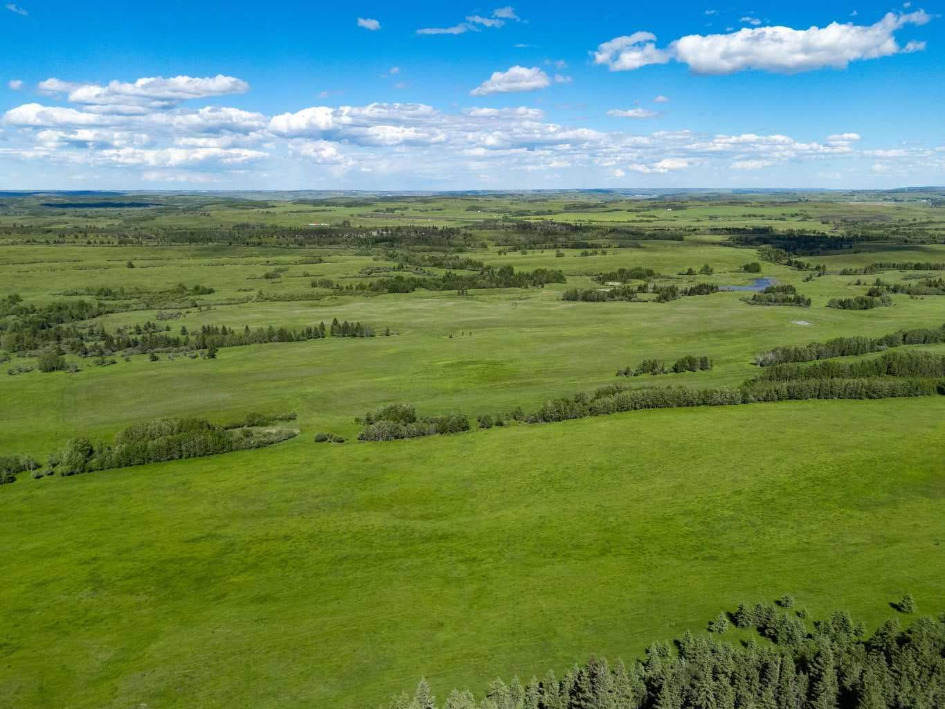 Scott Lake Ranch  