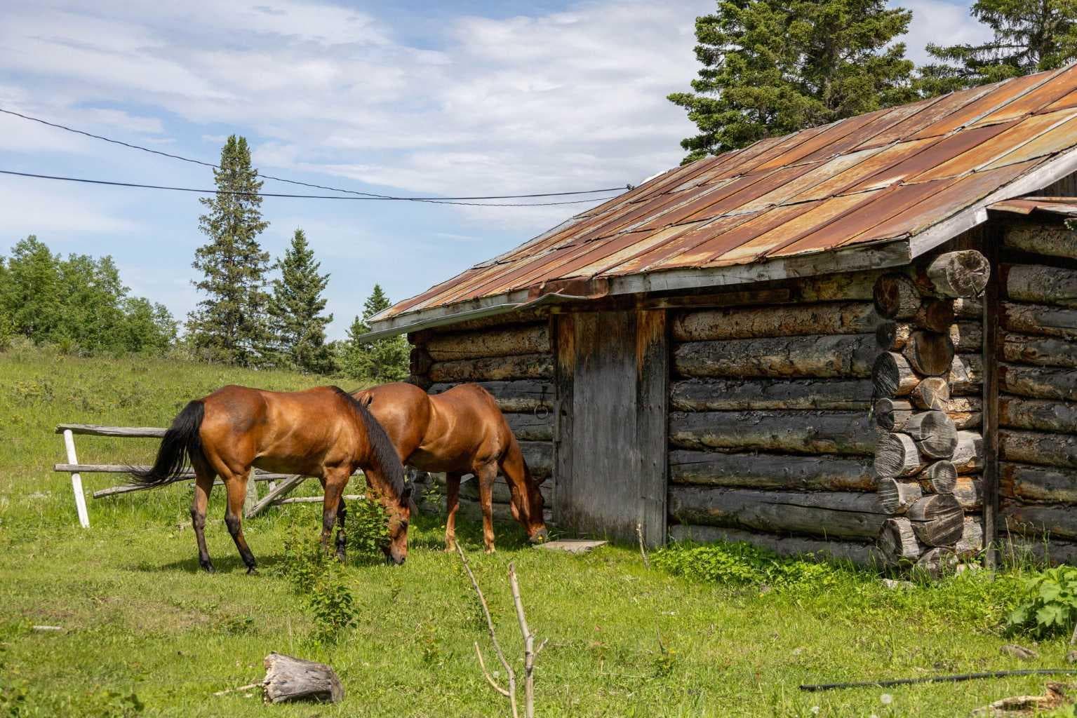 Scott Lake Ranch  