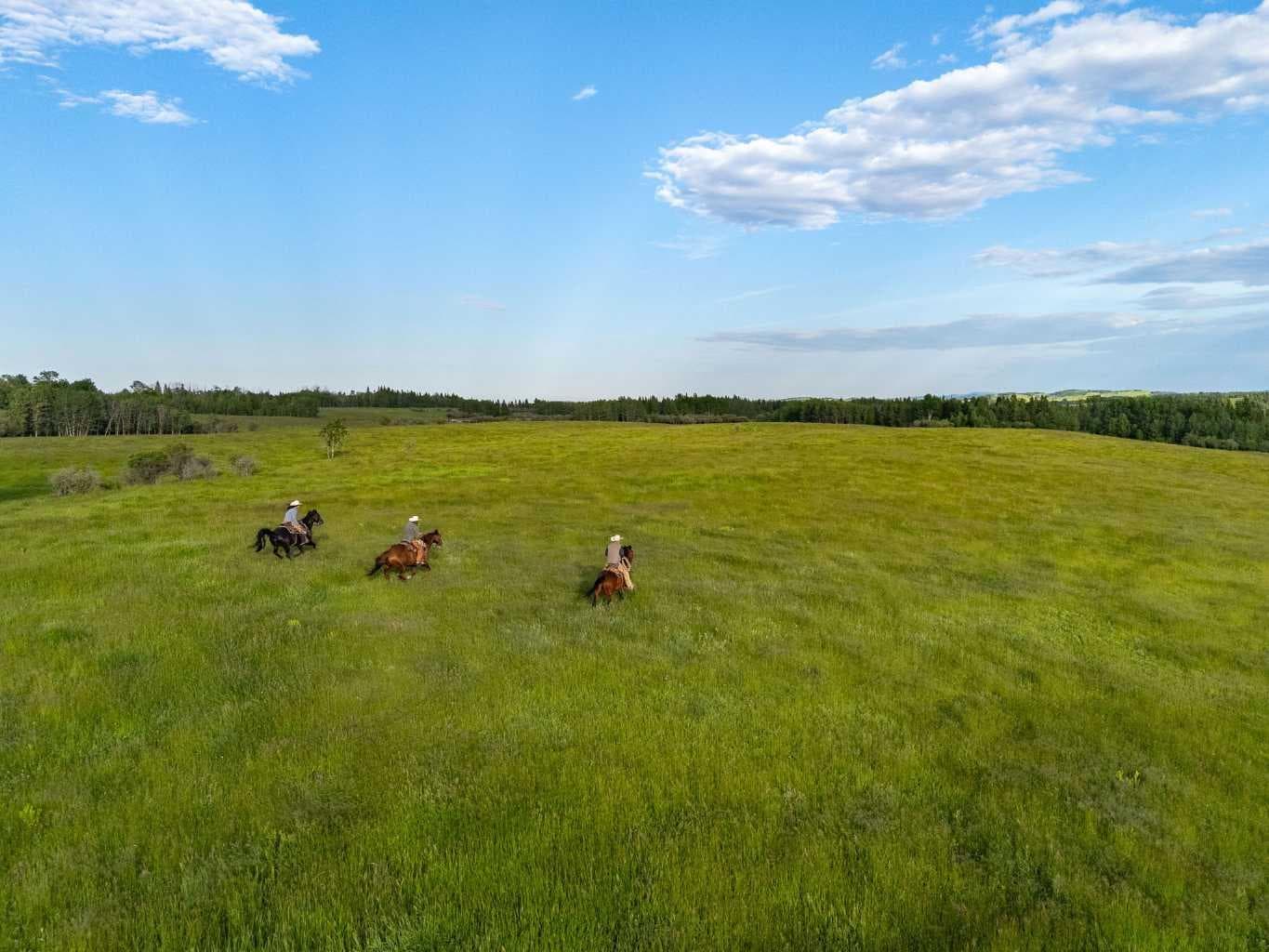 Scott Lake Ranch  