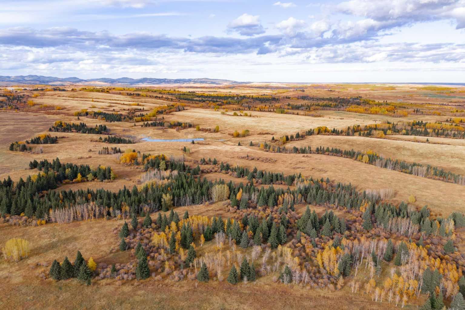 Scott Lake Ranch  