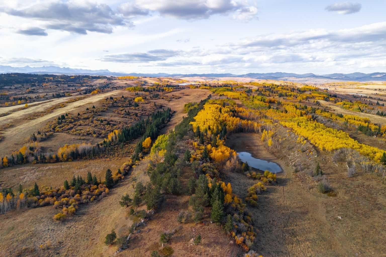 Scott Lake Ranch  