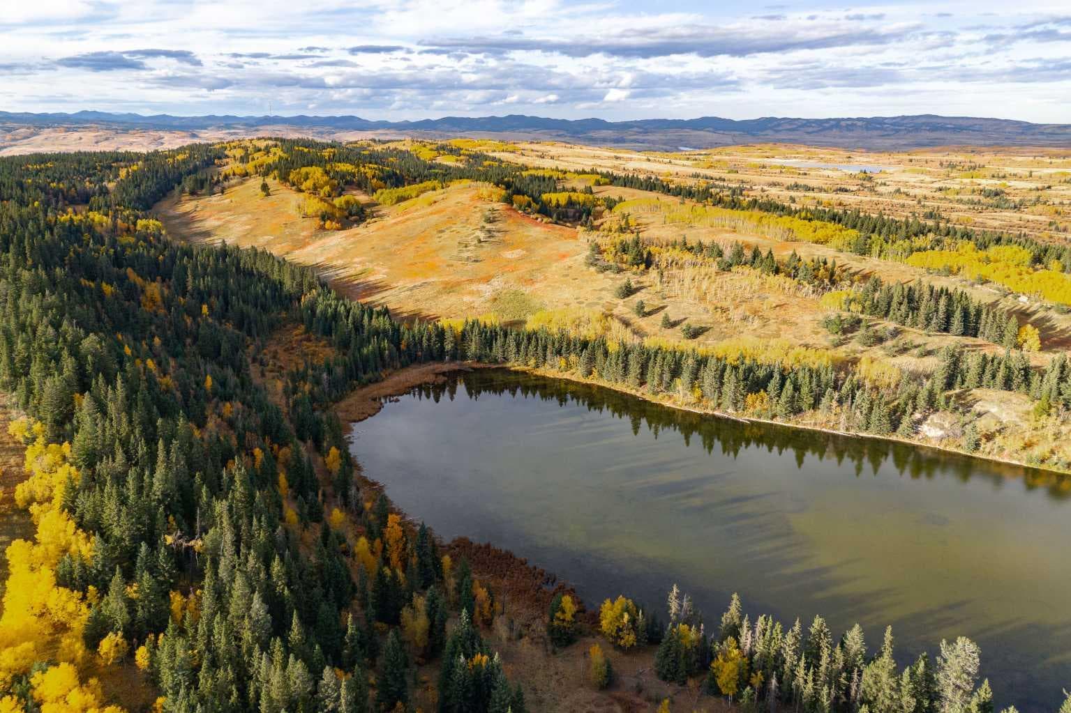 Scott Lake Ranch  