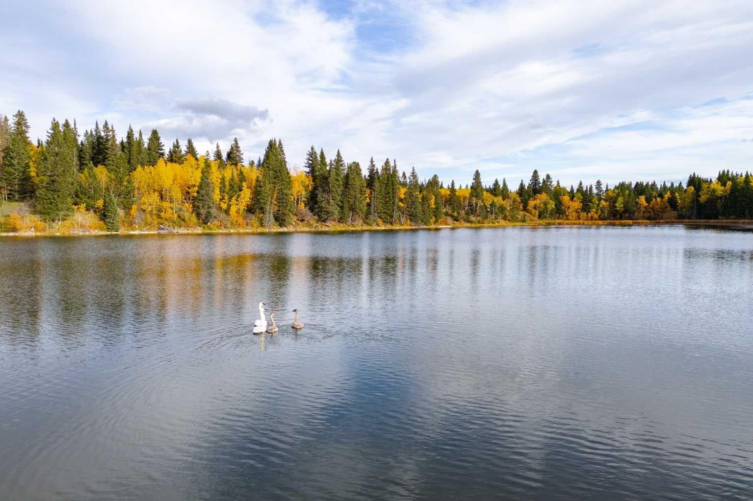 Scott Lake Ranch  
