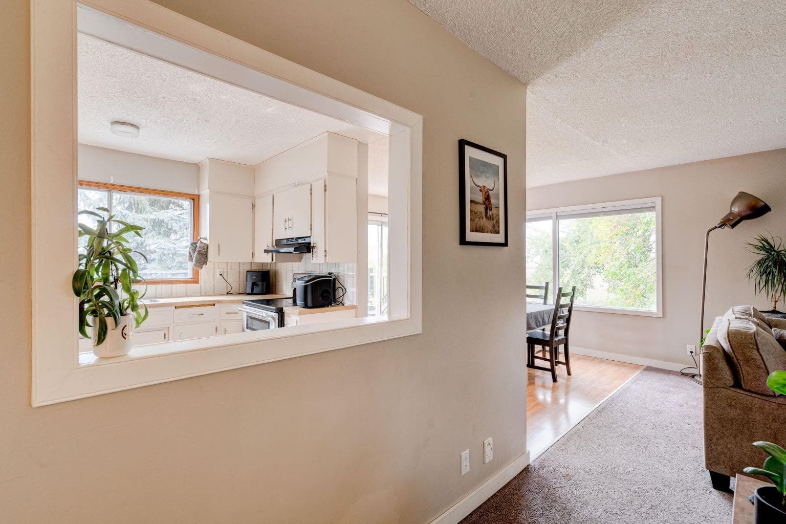 1153 East Lakeview Road 