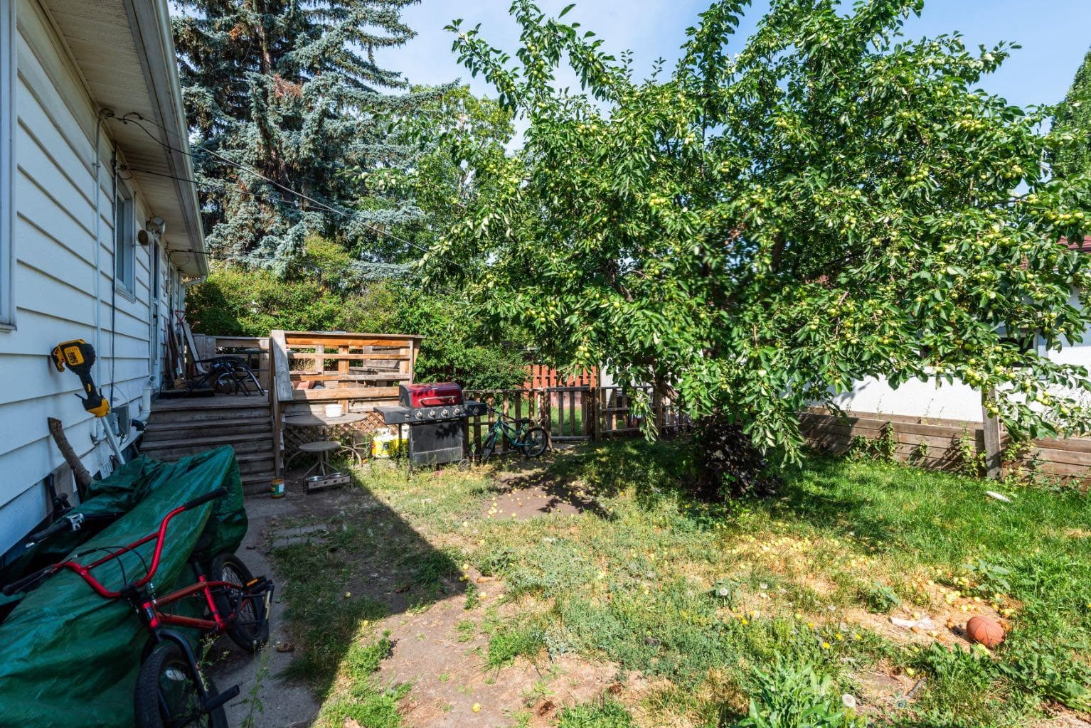 2620 5 Avenue NW