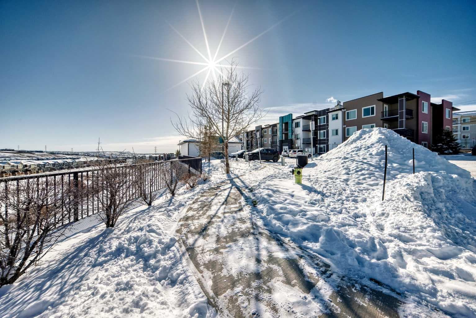 319, 24 Sage Hill Terrace NW