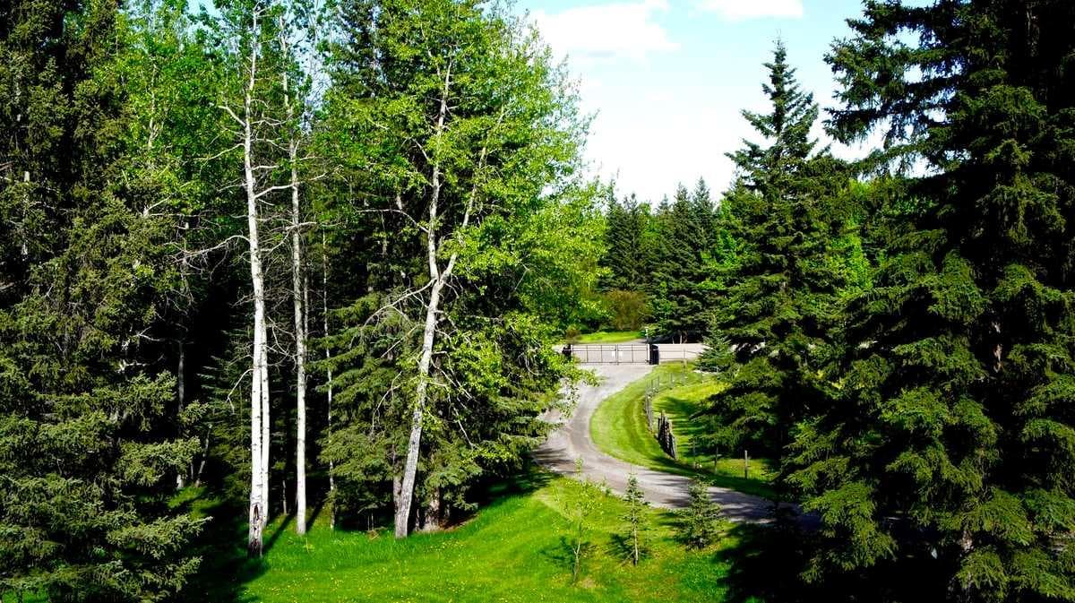 215 Wintergreen Road 